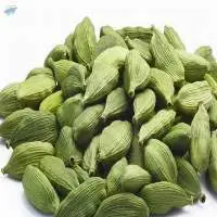 Cardamom
