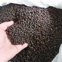 Black pepper
