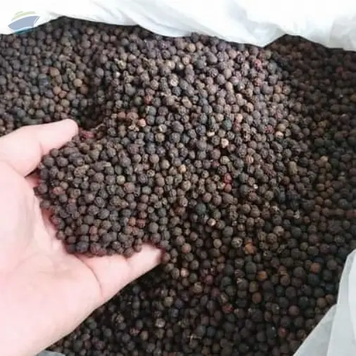 Black pepper