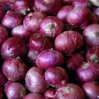 Red onions