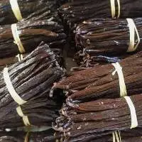 Vanilla Beans