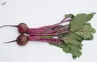 IQF Frozen Beetroot