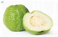 IQF Frozen Guava
