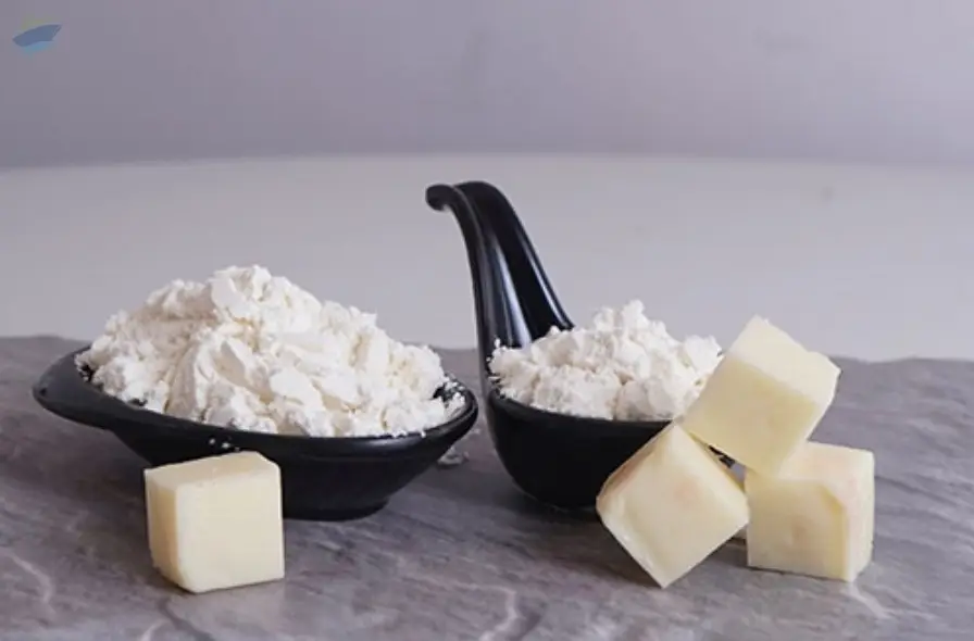 Cheese Spray Dried Powder