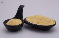 Orange Spray Dried Powder