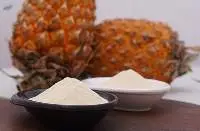 Pineapple Spray Dried Powder