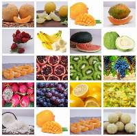 All Fresh Fruits