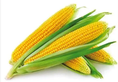 Corn