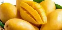 Mangoes