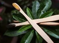 Bamboo Toothbrush Adult