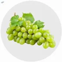 Thompson Seedless Grapes