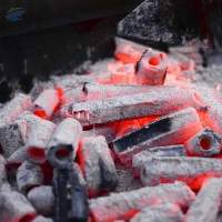 Wood Sawdust Charcoal