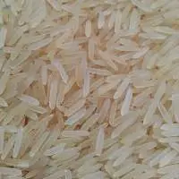 Sugandha Rice