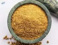 Coriander