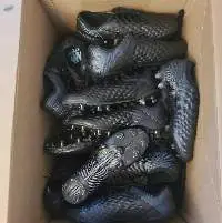Used Sports Wholesale Men/Women Shoes