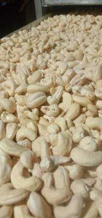 Raw Cashew Nuts (25kg)
