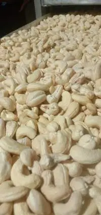 Raw Cashew Nuts (25kg)