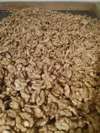 Walnuts