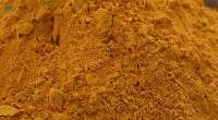 Turmeric powder Sales Wholesales Spices