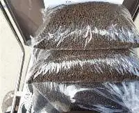 Black Pepper 550gpl