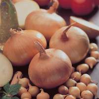 Fresh Yellow Onion/ Red Onion