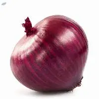 Onion For Sale