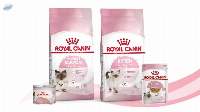 Best Quality Wholesale Dog Food Royal