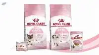 Best Quality Wholesale Dog Food Royal