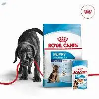 Bulk Buy Pet Food 