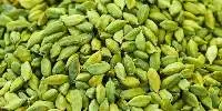 Cardamom