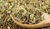 Fennel Seeds