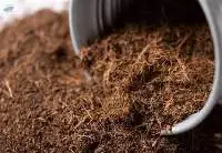 Coco peat