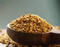 Fenugreek seed