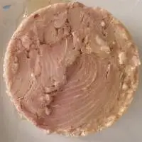 Canned Tuna Solid 160grs