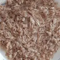 Canned Tuna Flake 160grs