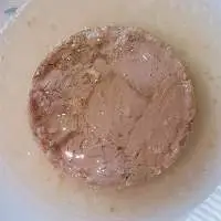 Canned Tuna Chunk