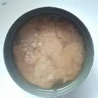 Canned Tuna Chunk
