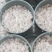 Canned Tuna Flake