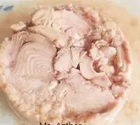 Canned Tuna Solid 170grs