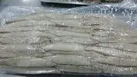 Frozen Pre-Cooked Skipjack Loin Small Size
