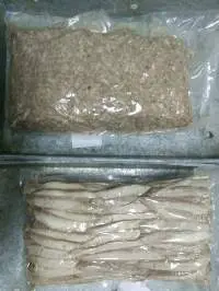 Frozen Pre-cooked Skipjack Loin Small Size