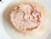 Canned Tongol Tuna Chunk In Oil