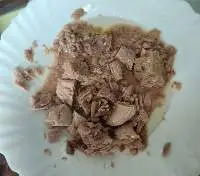 Canned Light Chunk Tuna (Bonito) In Oil