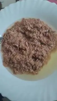 Canned Light Flake Tuna (Bonito) In Oil
