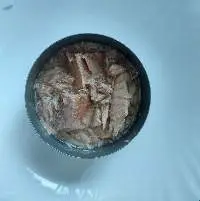 Canned Light Chunk Tuna (Bonito) In Brine