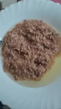 Canned Light Flake Tuna (Bonito) In Oil