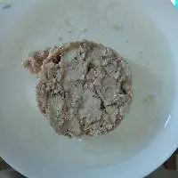 Canned Tongol Chunk In Vegetable Oil