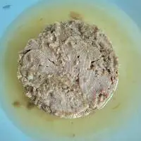 Canned Tuna Skipjack/ Bonito/ Tongol