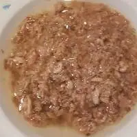 Canned Tuna Skipjack Flake & Shredded