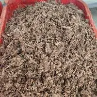Frozen Precooked Black Meat Tuna